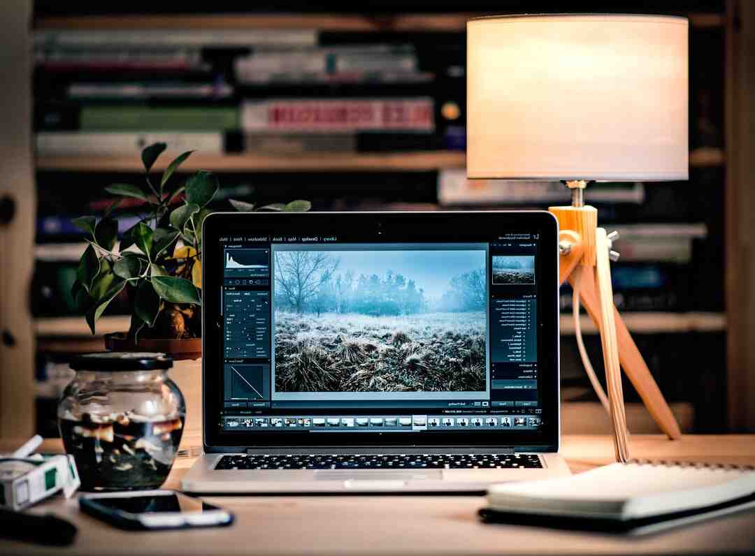 Quels sont les risques de Skype ?