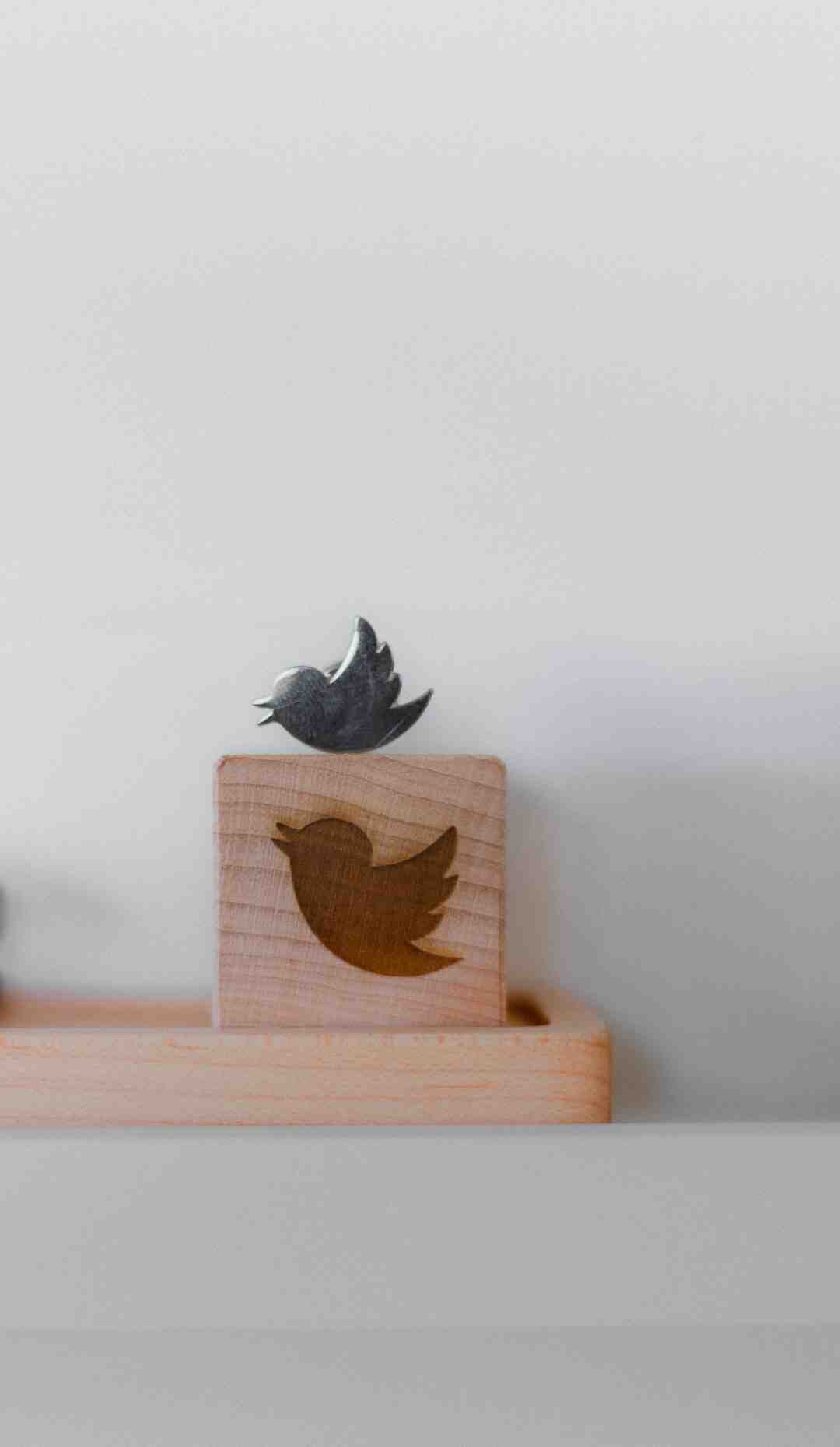 Qu'est-ce qui différencie Twitter des autres réseaux sociaux ?