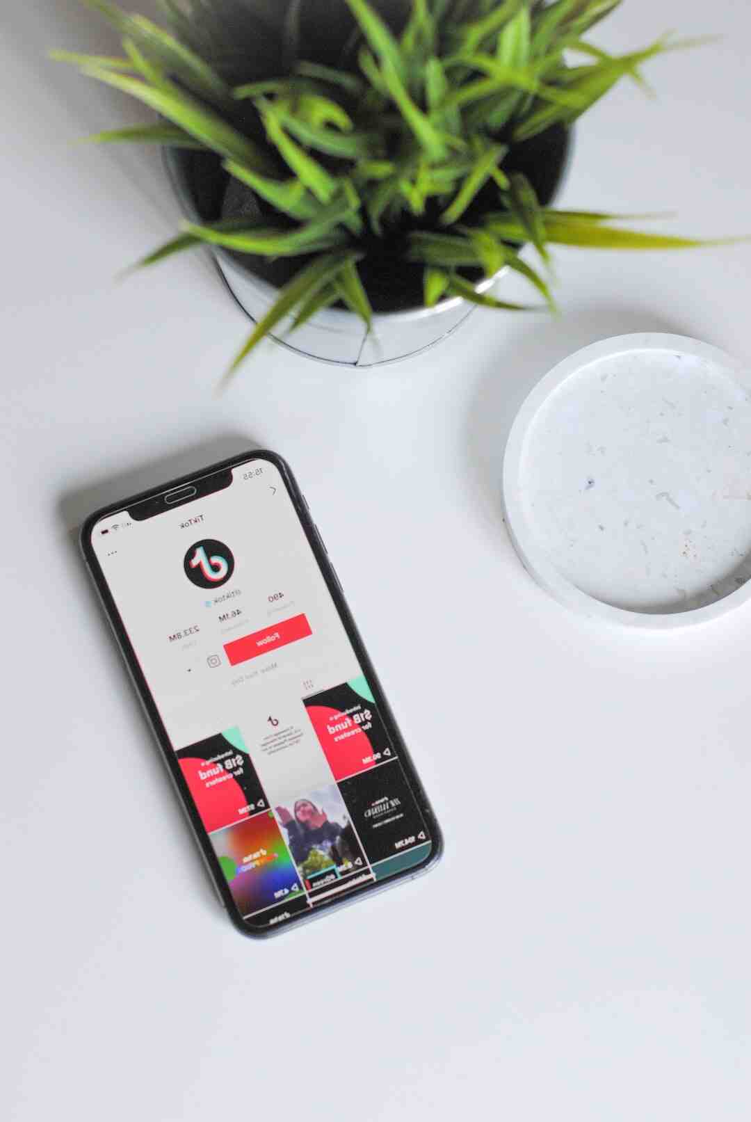 Comment devenir viral sur TikTok ?