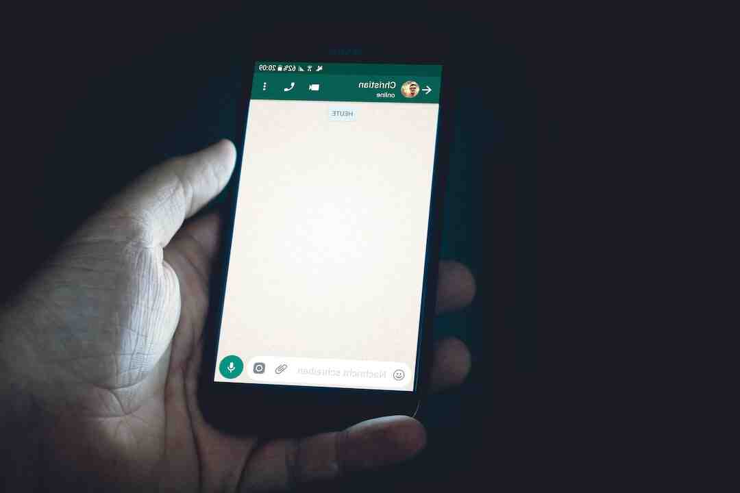 Quel WhatsApp installer ?