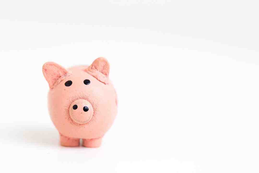 Quel est l'influenceur qui gagne le plus ?