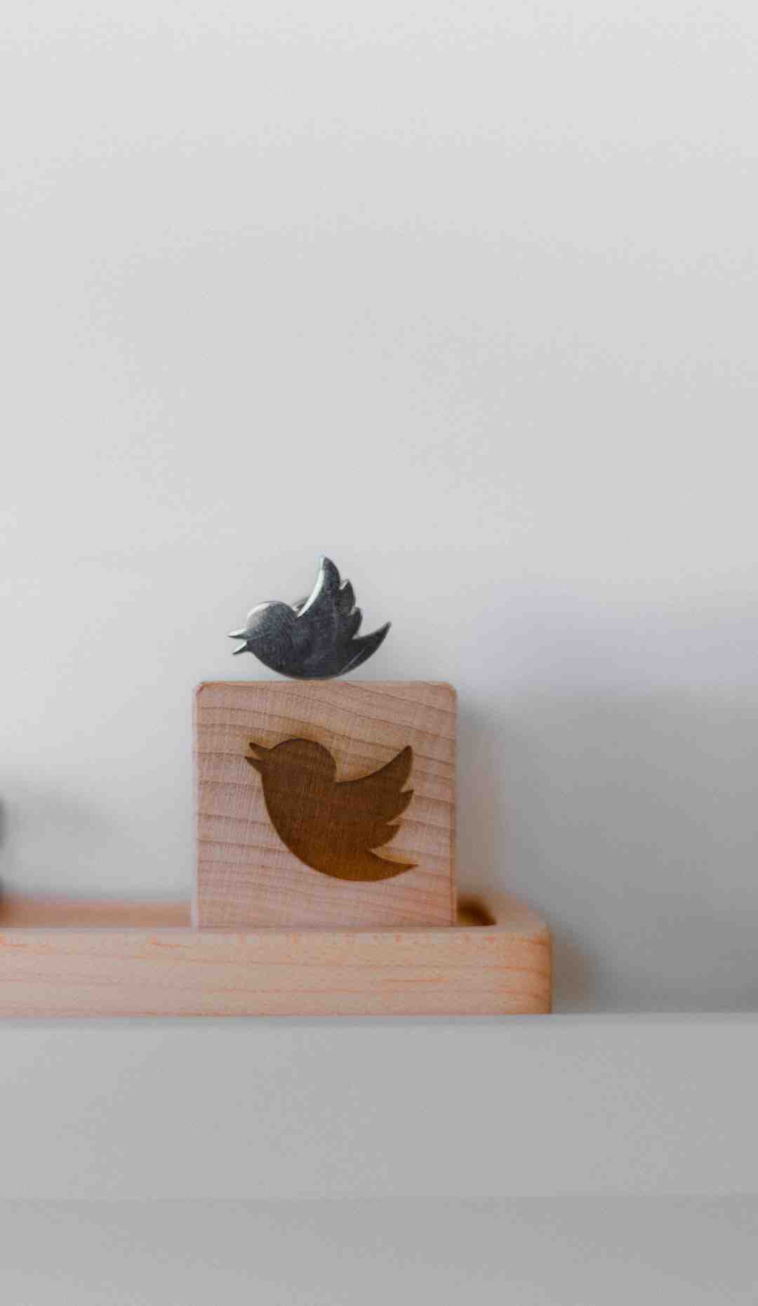 Qui nous a bloqué sur Twitter ?