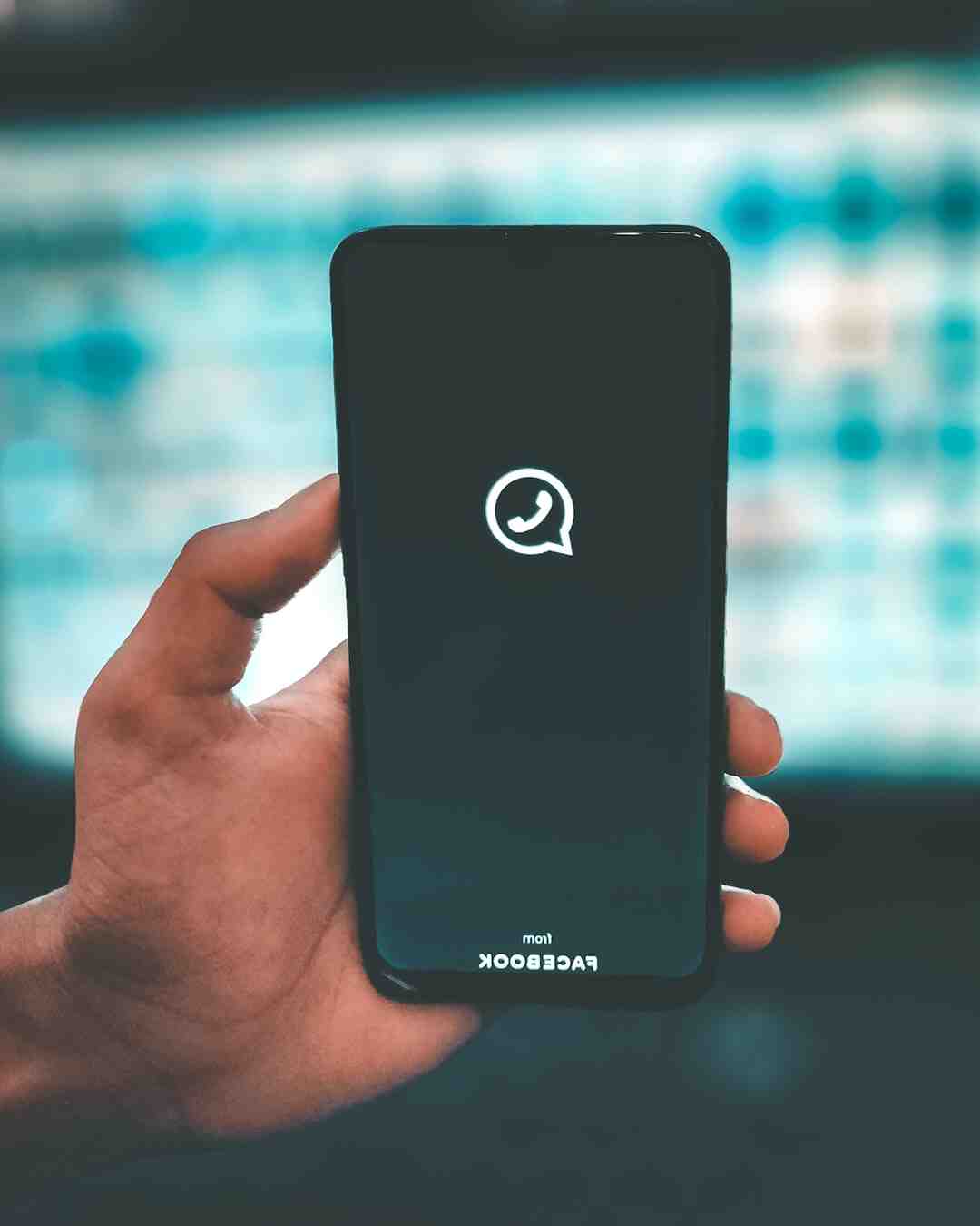 Quel est le vrai WhatsApp ?