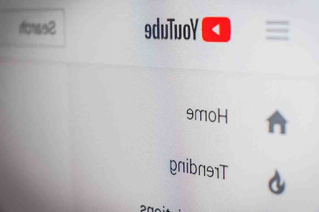 Quels Youtubeurs sont millionnaires ?