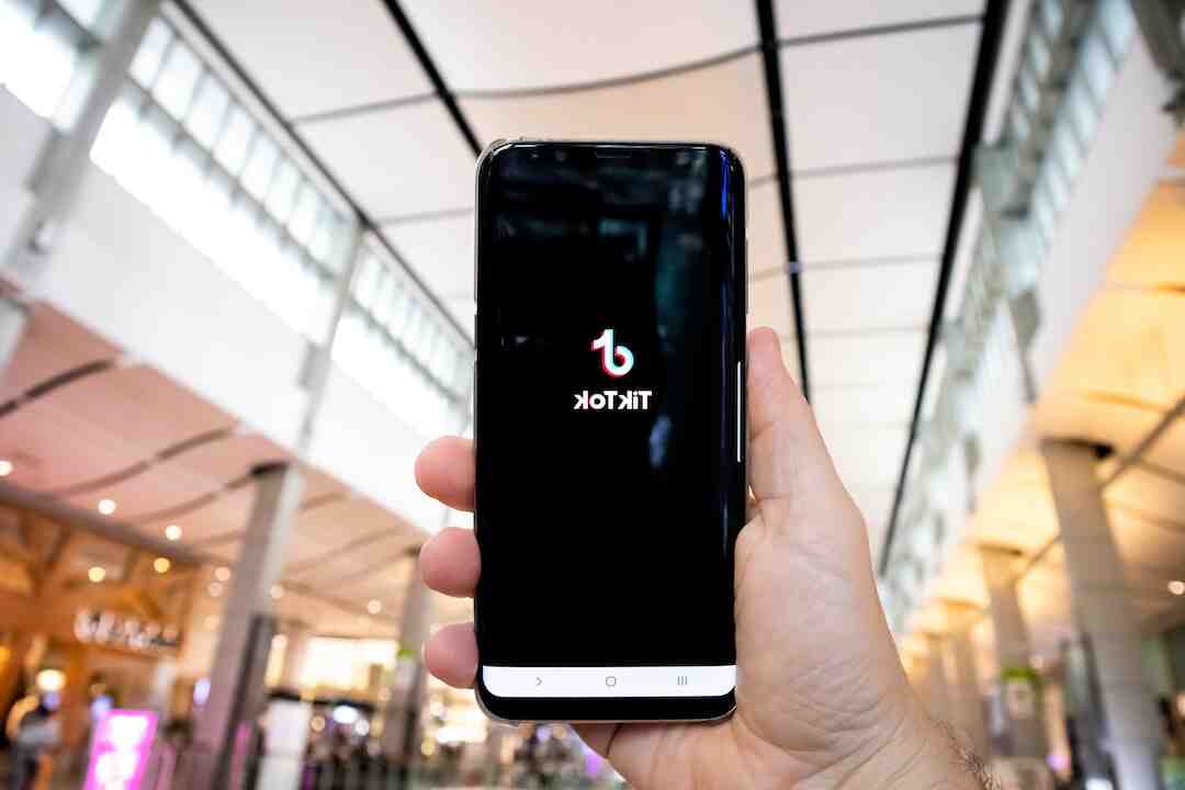 Qui a le plus d'abonnés sur TikTok en France ?